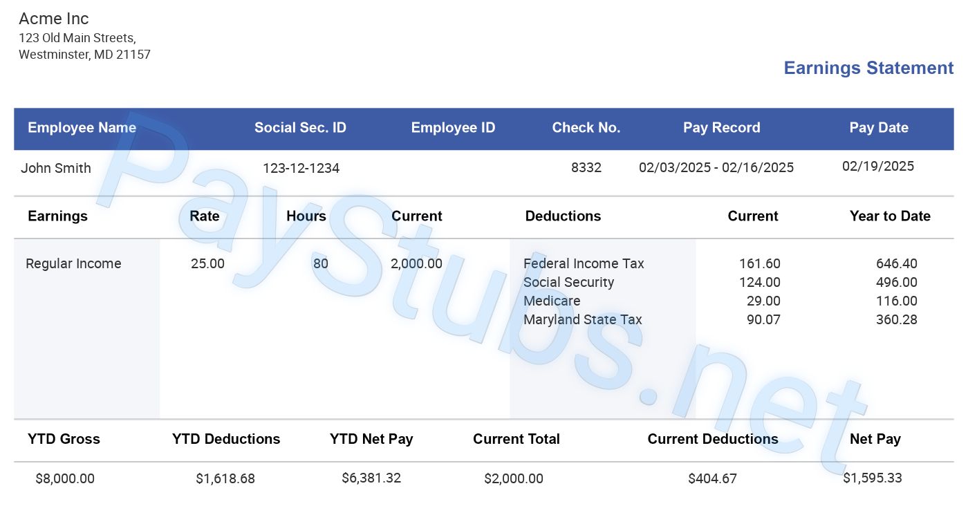Paystub Sample | ThePayStubs