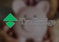 https://www.paystubs.net/cms-uploads/files/cms/standalone-content/thumbnail/68b5f6e52f883053682154.jpeg