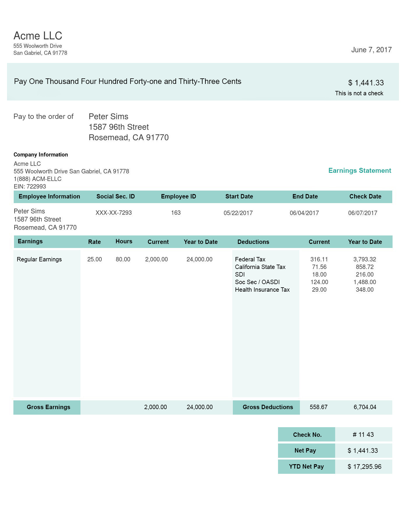 long green pay stub template