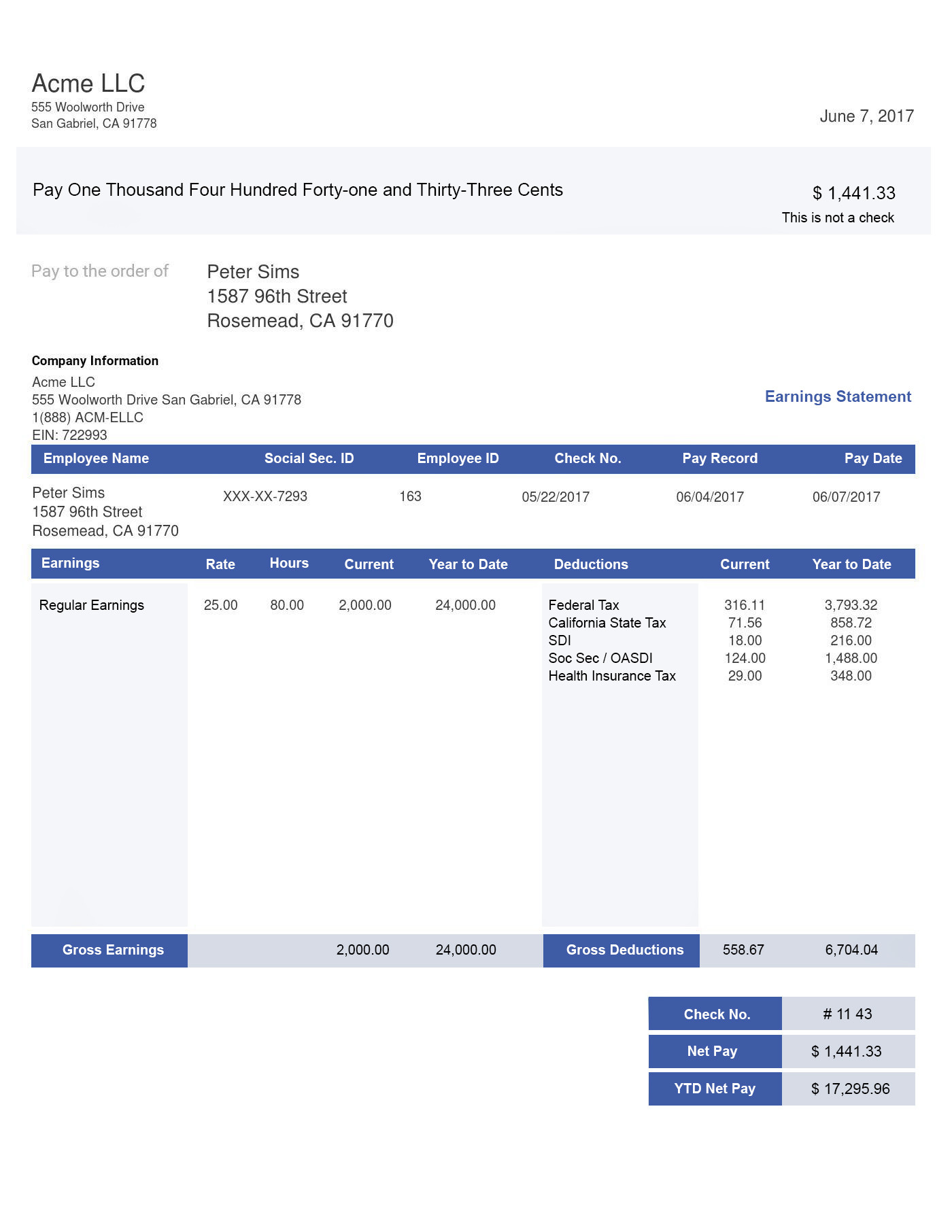 long blue pay stub template