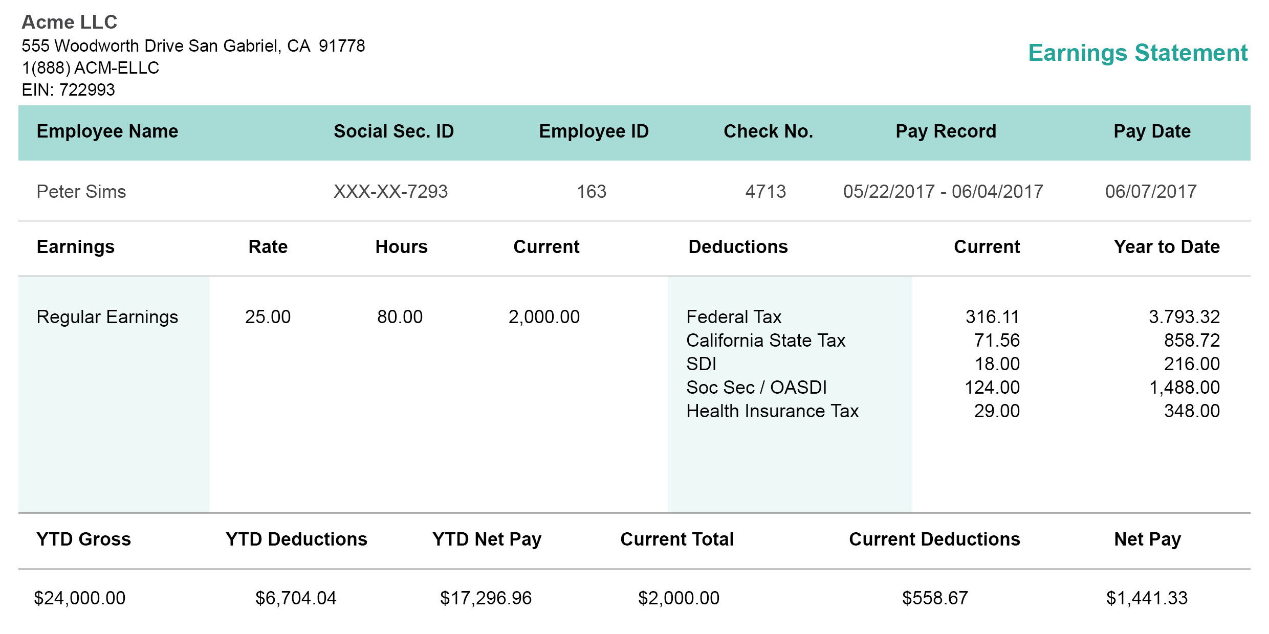 horizontal green pay stub template