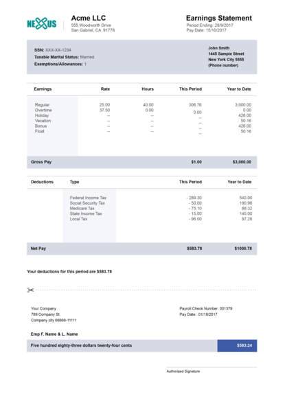 pay stub vertical template grey