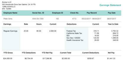 horizontal green pay stub template